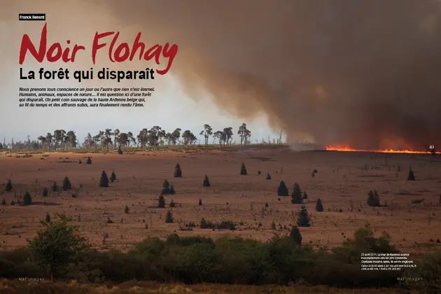 25 avril 2011. Le mur de flammes avance inexorablement vers les pins sylvestres. Quelques instants après, ils seront engloutis. Réserve naturelle, noir Flohay. Photographe Franck Renard. NI87