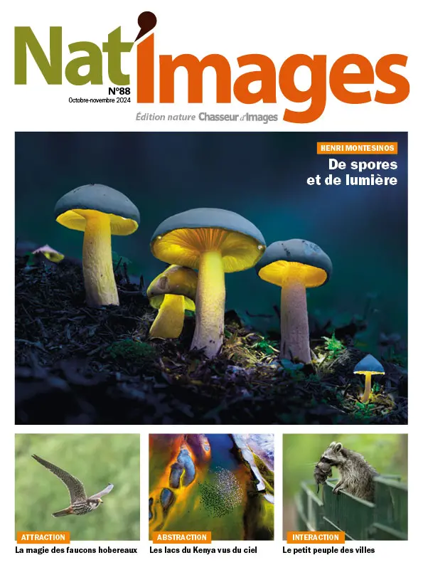 Magazine de photographie de nature -Numéro du mois -Nat'images 88