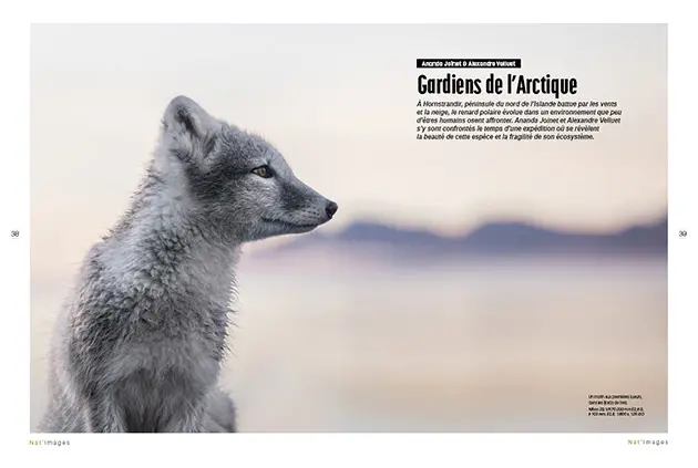 Ananda Joinet et Alexandre Vellue - Renard - Nat images N°89