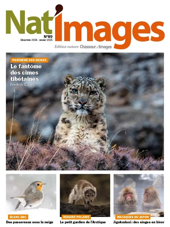 Magazine de photographie de nature -Numéro du mois - Nat'images 89